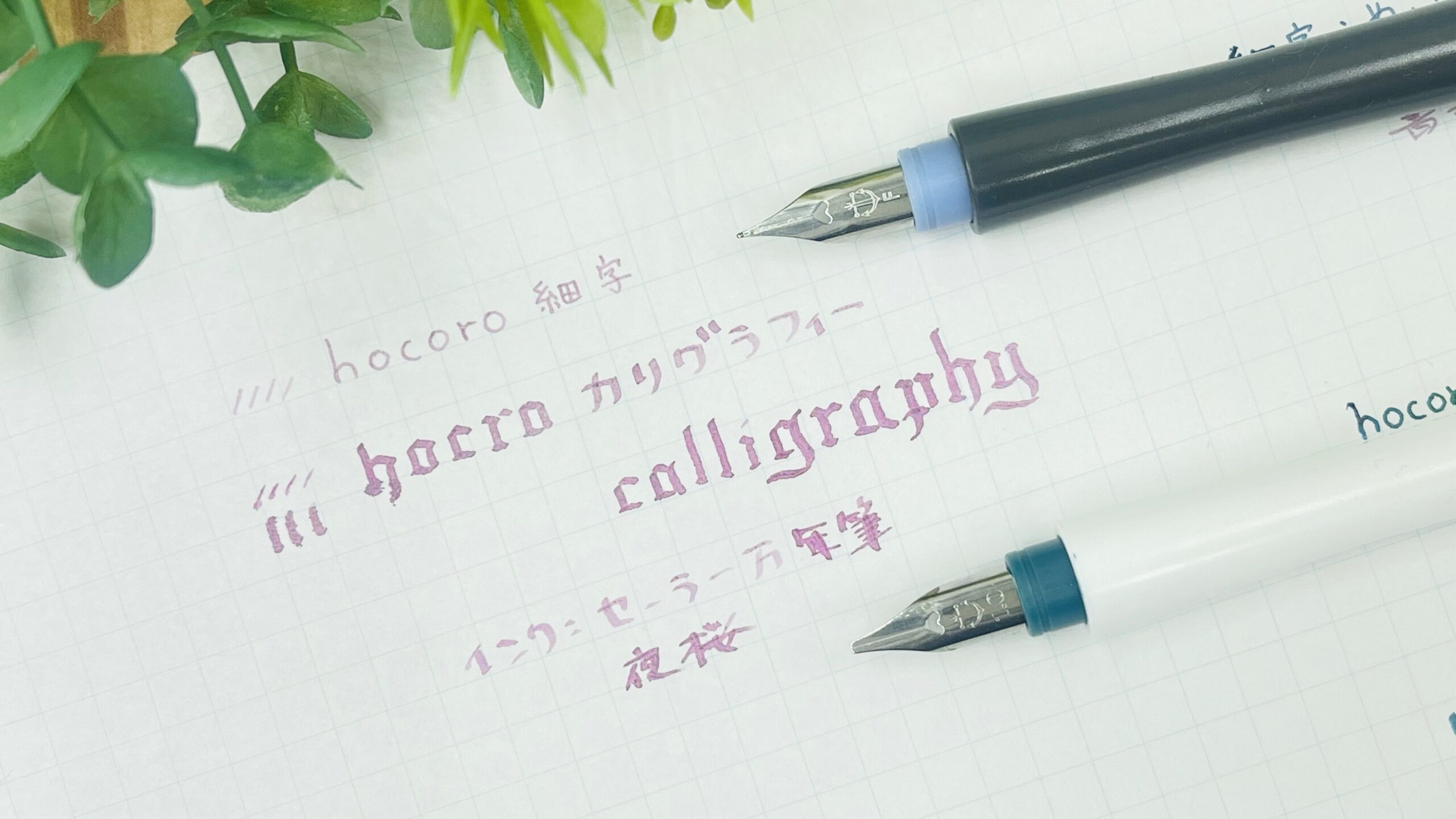 セーラー万年筆のつけペン Hocoro ホコロ を使ってみた感想 細字 カリグラフィー カリグラフィー ブログ カリグラフィー メモ